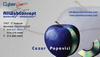 Cezar / CyberCom Business Cards portfolio