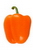 Orange Pepper
